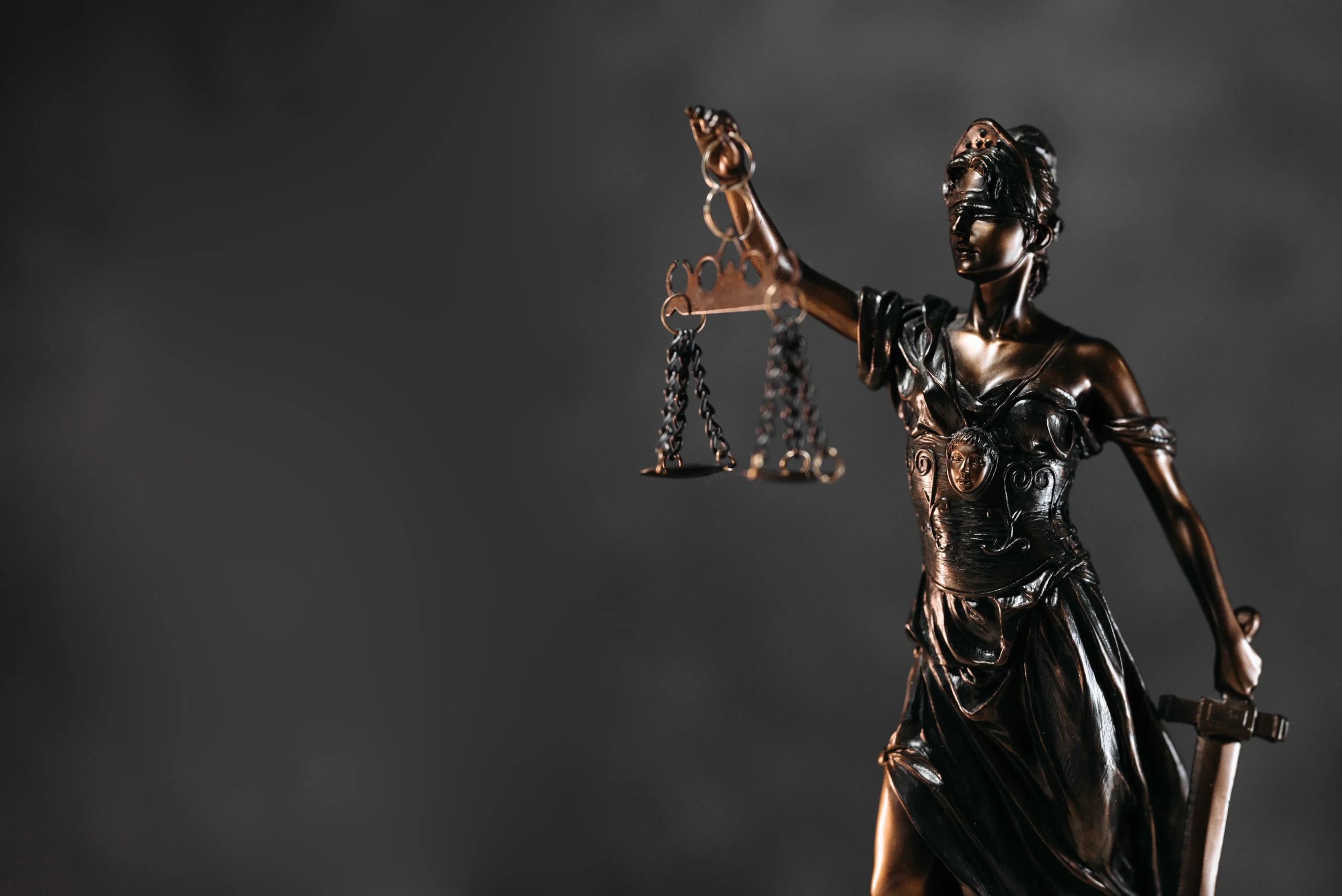 Jasa Pengacara Profesional